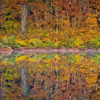 秋の大柳沼に映る紅葉の水鏡～静寂の湖面に映る秋の彩りの写真
