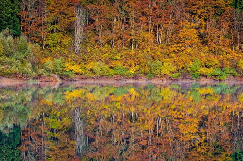 秋の大柳沼に映る紅葉の水鏡～静寂の湖面に映る秋の彩り