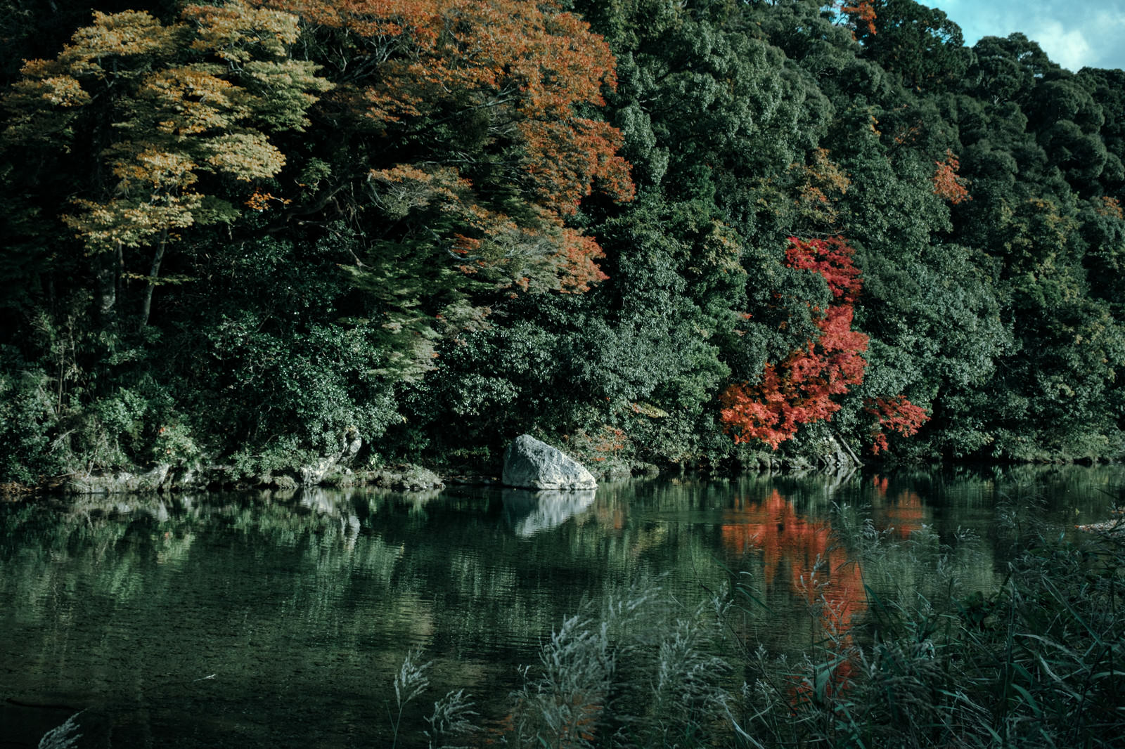 静かな川面に映る紅葉の始まった木々の風景