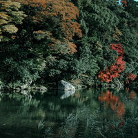 色付き始めた川端の木々が水面に映るリフレクションの写真