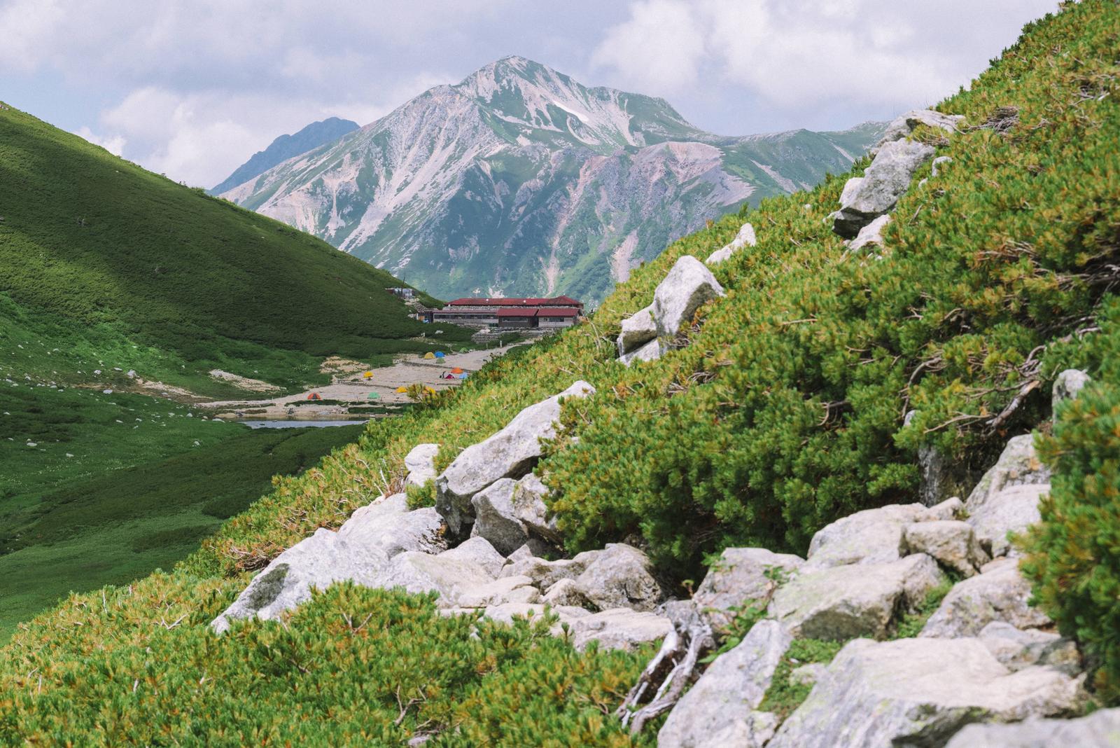 緑の高山植物と白い岩に囲まれた山小屋と雪渓の山が見える山岳風景