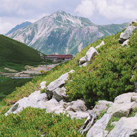 高山植物に囲まれた双六山荘と笠ヶ岳の眺望の写真