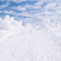 蔵王の登山道に広がる樹氷の群落と雪景色の写真