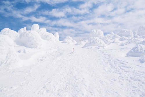 蔵王の登山道に広がる樹氷の群落と雪景色