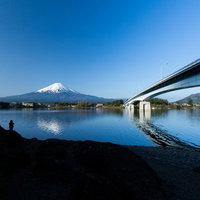 河口湖と富士山の桜咲く川の花見舟の写真