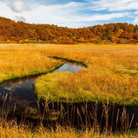 秋のイワカガミ湿原を流れる小川と紅葉した山並みの写真