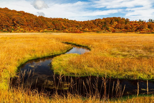秋のイワカガミ湿原を流れる小川と紅葉した山並み