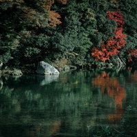 水面に映り込む紅葉した木々と細かな波紋が広がる秋の川の写真