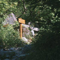 笠ヶ岳の秩父沢への案内板が立つ登山道の山道の写真