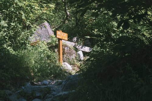 笠ヶ岳の秩父沢への案内板が立つ登山道の山道