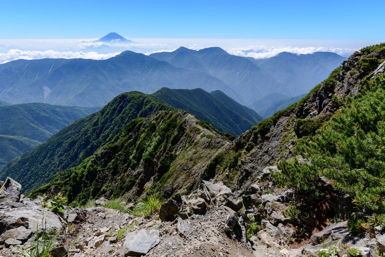 南アルプス南部の山々から望む富士山と青空、緑の稜線