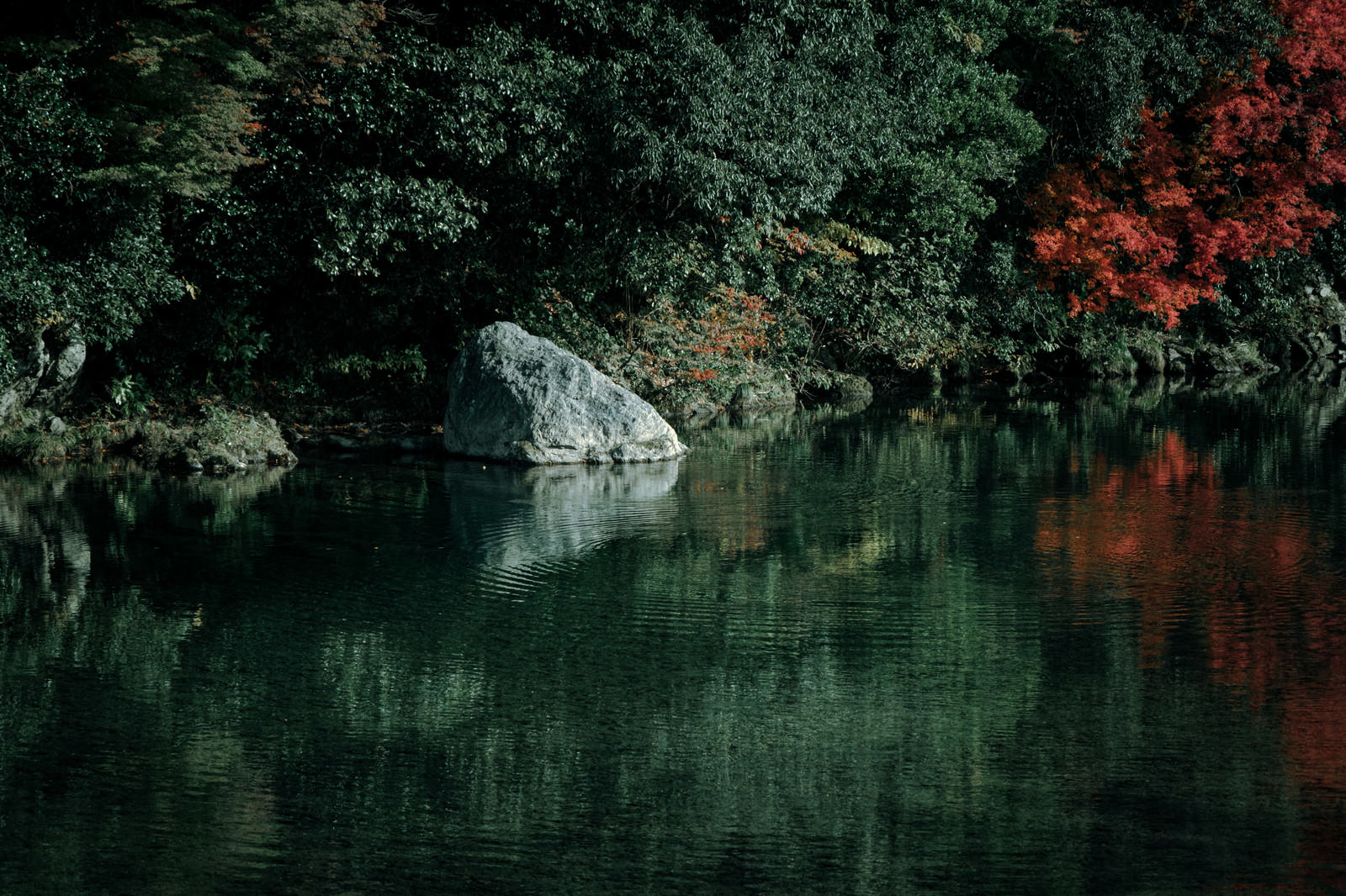 川の水面に緑の木々と紅葉した木々が映り込む自然風景