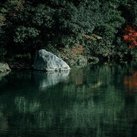 水面に映る色付き始めた木々と波紋が広がる秋の川風景の写真