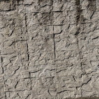 凹凸のある不規則な形状のタイルを張り合わせた外壁の写真