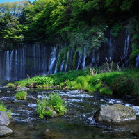 静岡県富士宮市の白糸の滝の清流と岩壁の絶景の写真