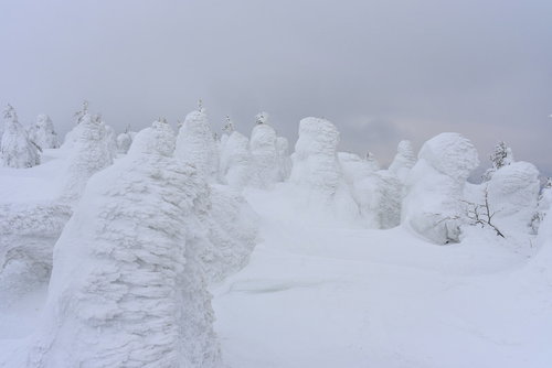 ガスの中に浮かぶ蔵王山の樹氷｜冬の幻想的な雪山風景
