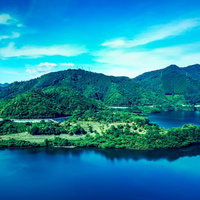 青空の下、鏡野町奥津湖の湖面に浮かぶ緑の浮島の写真
