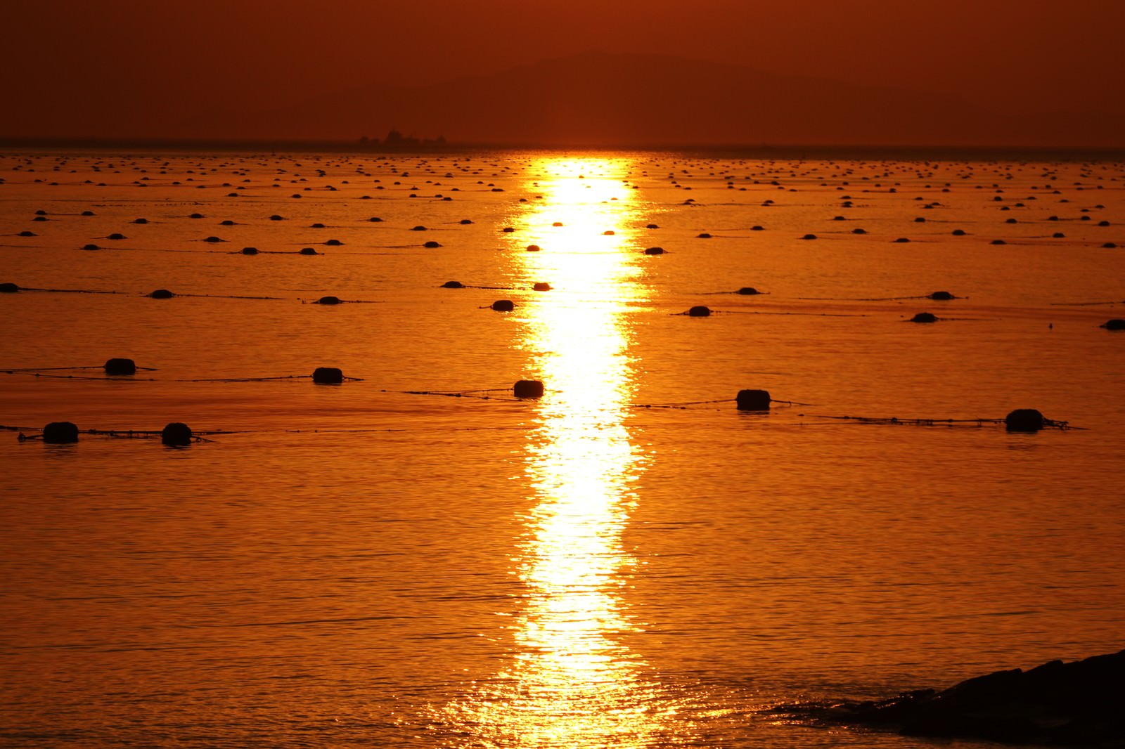 夕日が海面に反射して光の道を作るレイライン現象