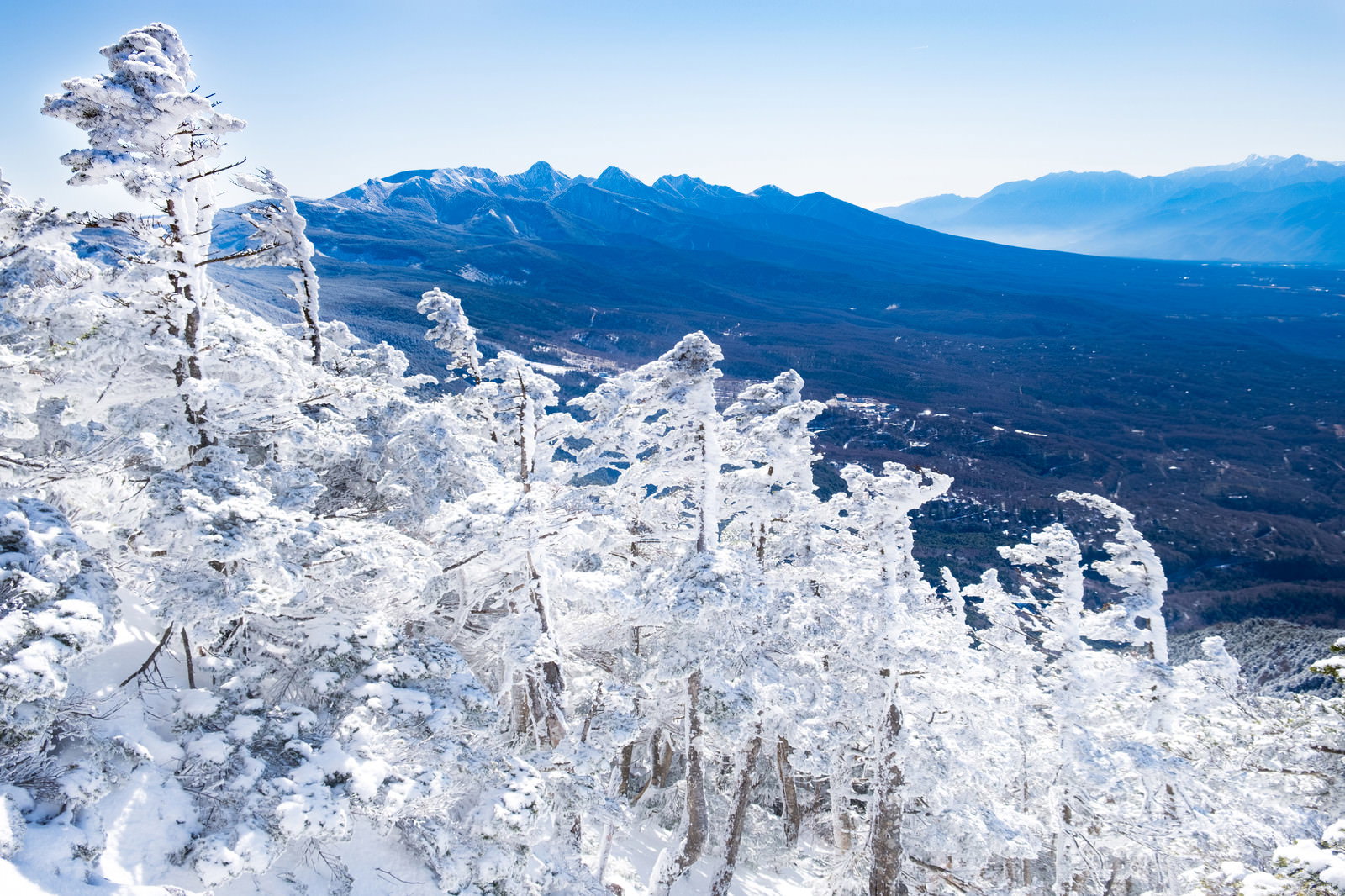 強風により作られた霧氷のエビの尻尾と八ヶ岳連峰の雪景色