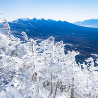 強風により作られた霧氷のエビの尻尾、八ヶ岳連峰の冬景色の写真