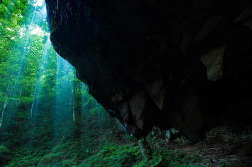 岡山県鏡野町の癒しスポット岩井滝の岩陰から見る光差す森