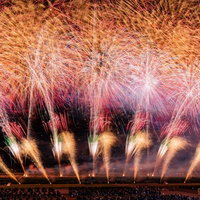 夜空を埋め尽くす金色とピンク色の光跡が輝く花火の写真