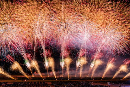 夜空を埋め尽くす金色とピンク色の光跡が輝く花火