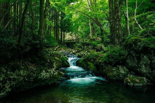 深い森に囲まれた白賀渓谷の上流、エメラルドグリーンの清流