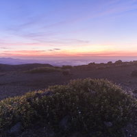 夜明けの蔵王山に咲く高山植物と朝焼けの絶景の写真