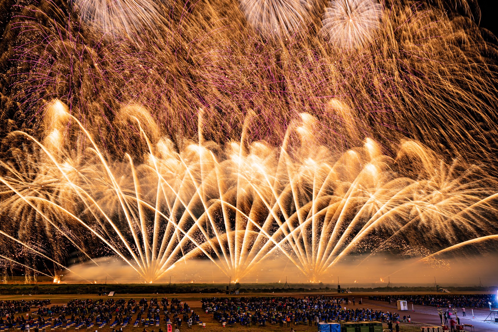 夜空に黄金色の光跡を描く打上げ花火が扇状に広がる様子