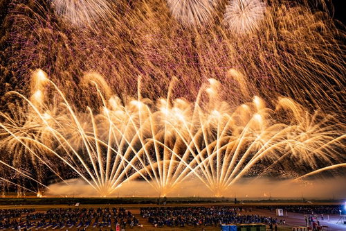 夜空を覆う黄金色の光跡を描く打上げ花火の煌めき