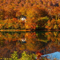 紅葉の須川湖に映る水鏡と秋の景色の写真