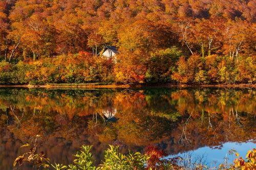 紅葉の須川湖に映る水鏡と秋の景色