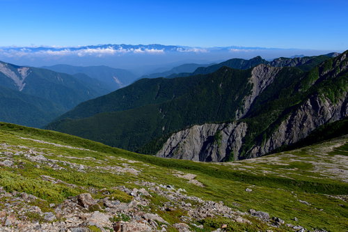 空に浮かぶ中央アルプスの山々と高山植物の雄大な風景