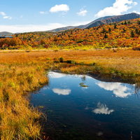 イワカガミ湿原の池に映る青空、水鏡に映える芝紅葉の写真