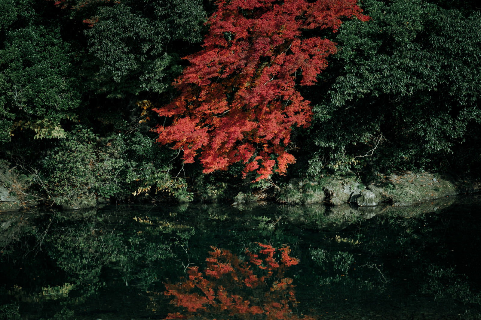 秋の水辺で水鏡に映る紅葉