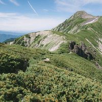 稜線から眺める笠ヶ岳の登山道と連なる山々の風景の写真