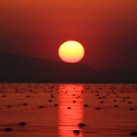 日没前の太陽が海面に映るレイライン、夕暮れ時の光景の写真