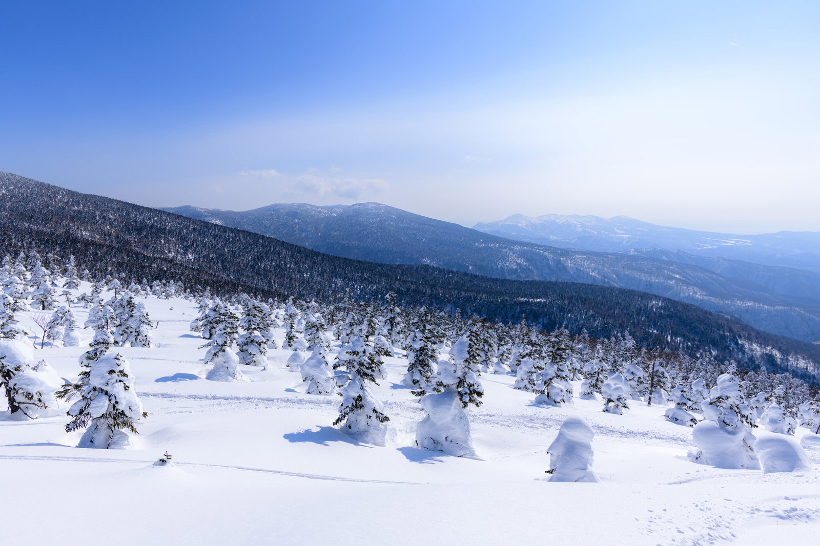 樹氷に覆われた西吾妻山から望む雪化粧した安達太良山の冬景色