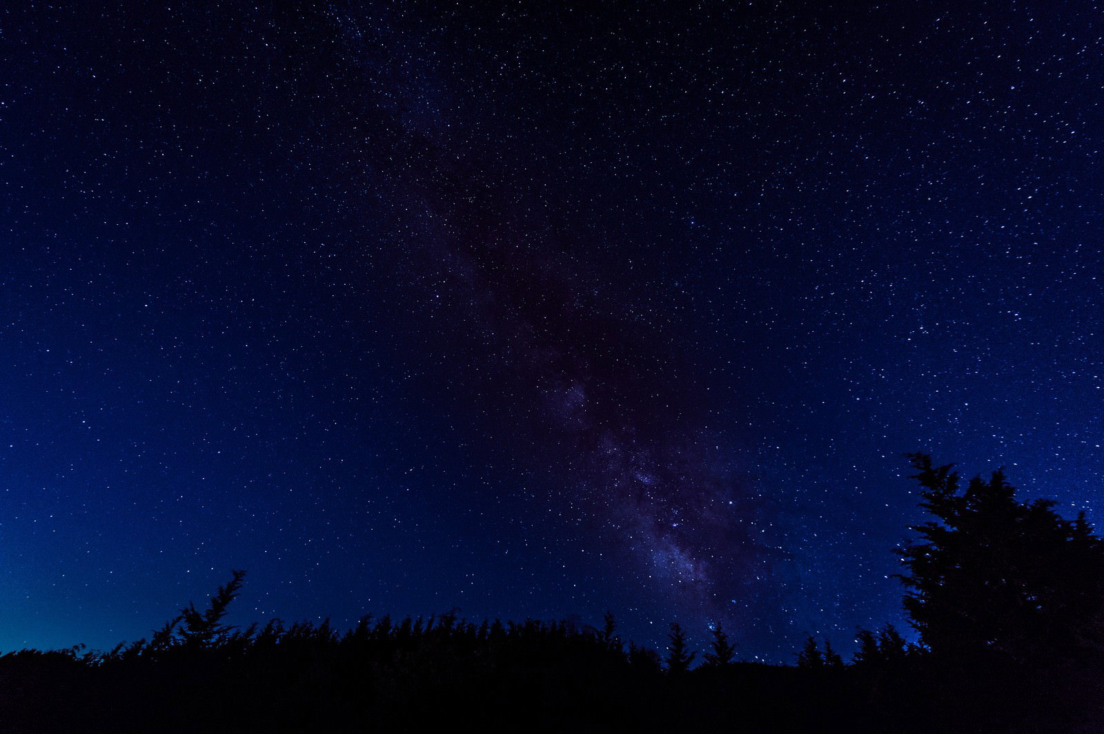 鏡野町笠菅峠の夜空に広がる天の川と無数の星々、手前には針葉樹のシルエット