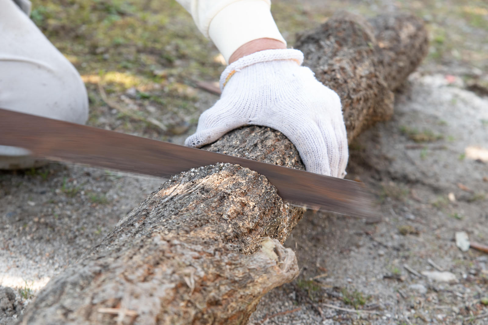 A scene of a person cutting a log with a saw while wearing white gloves