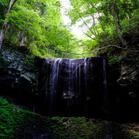 岡山県鏡野町の岩井滝と新緑の渓流、清流の自然美の写真