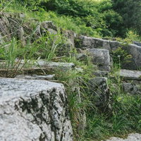 奥津渓の上流に広がる苔むした岩と草の写真