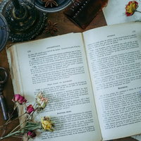 開かれた洋書の上に散らばるドライフラワーの写真