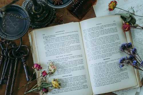 開かれた洋書の上に散らばるドライフラワー