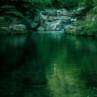 岡山県の奥津渓で見る清流と新緑に囲まれた静寂な渓谷の写真