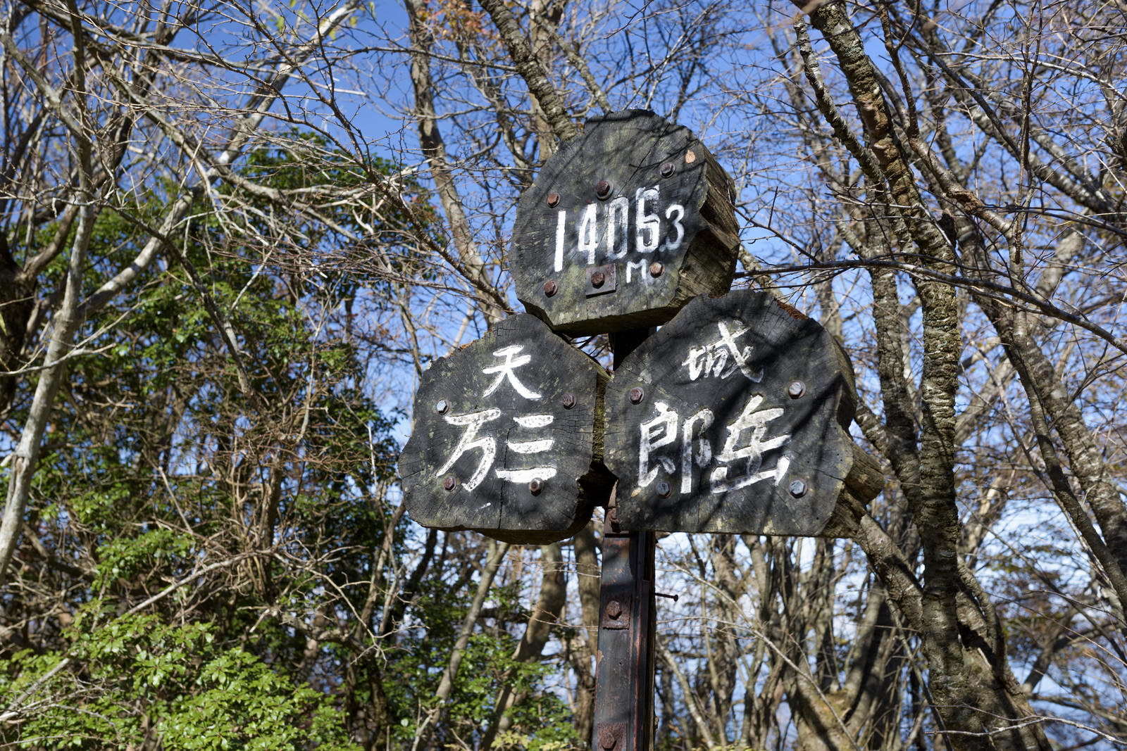 天城山最高峰万三郎岳の山頂に設置された木製標識と周囲の冬枯れした樹木