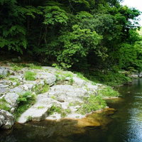 国指定の名勝、奥津渓の渓流と岩場、新緑の森の写真