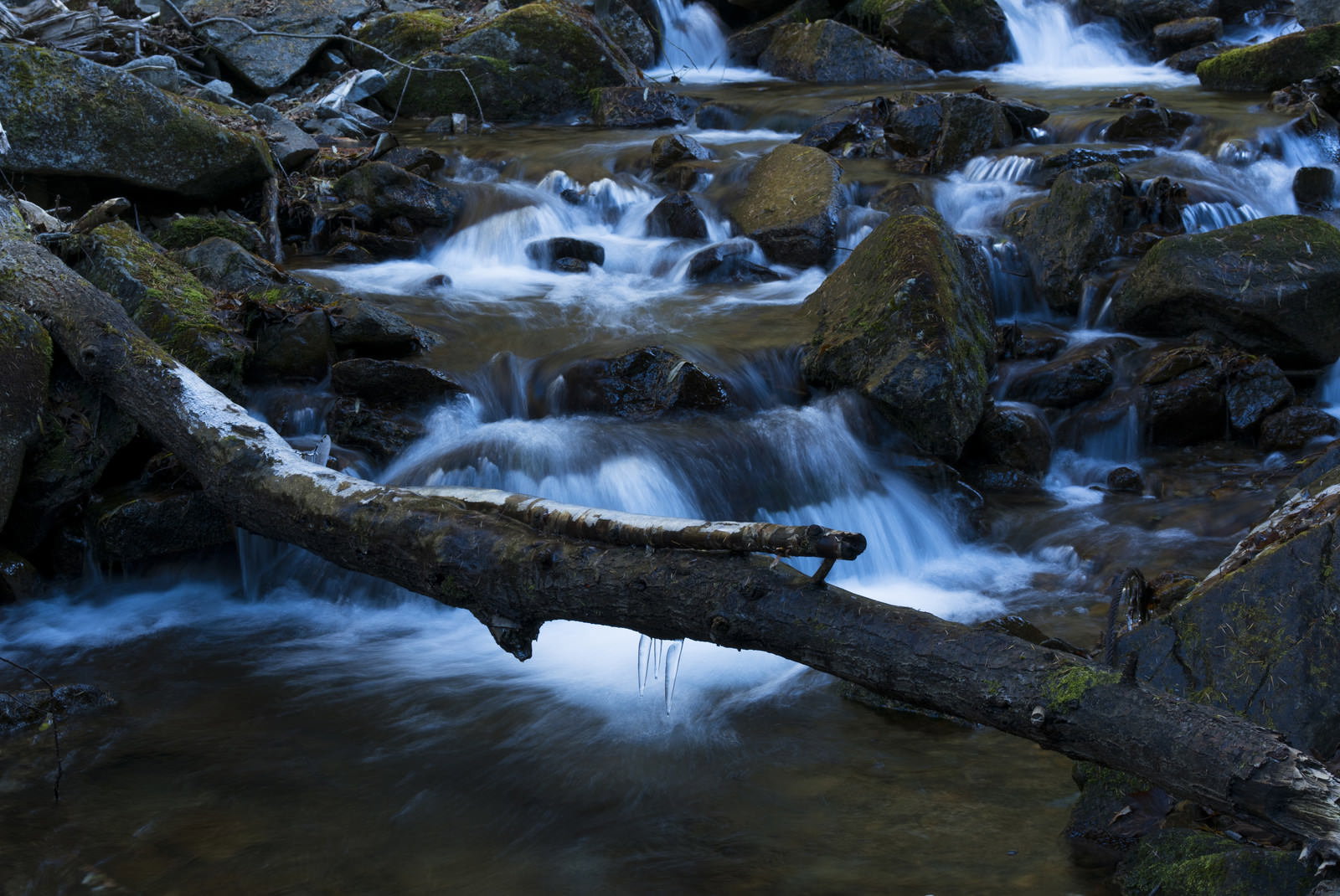甲武信ヶ岳毛木平の渓流で岩の間を流れる水と横たわる流木