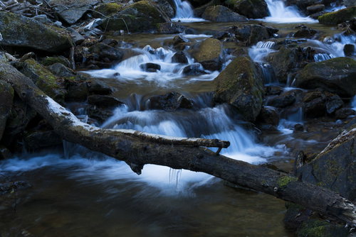 甲武信ヶ岳毛木平の渓流を流れる清水と流木